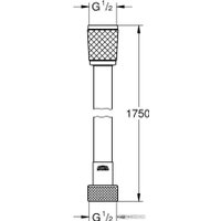 Душевой шланг Grohe Relexaflex 28410002