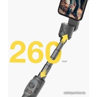 Стабилизатор Zhiyun Smooth X (серый)