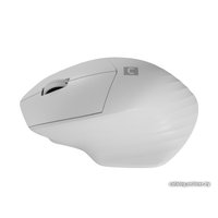 Мышь Natec Siskin 2 (белый)