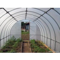 Теплица Слава 25 4м