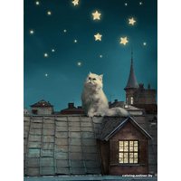 Фотообои ФабрикаФресок Кот на крыше 472270 (200x270)