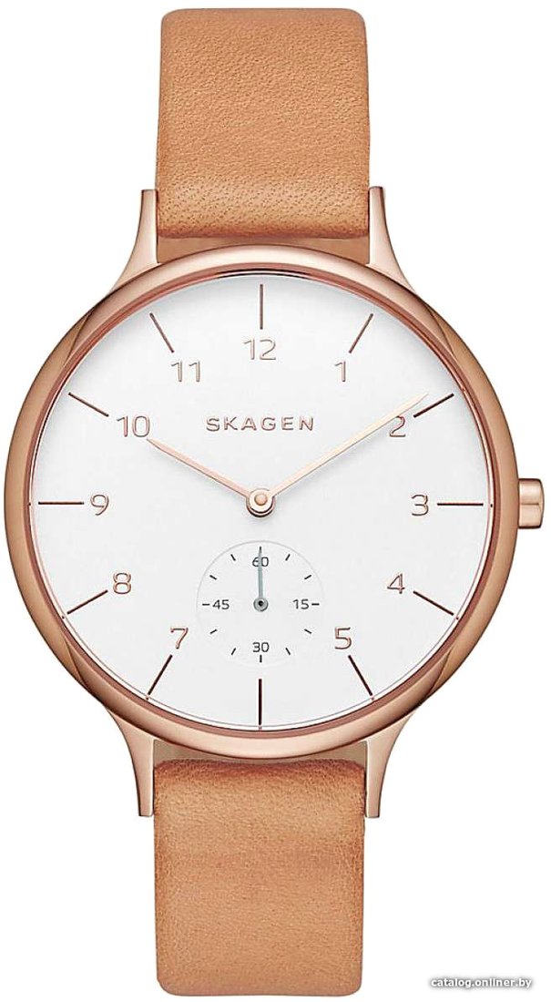Наручные часы Skagen SKW2405