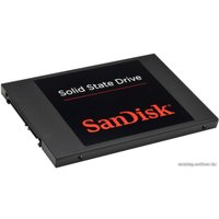 SSD SanDisk 256GB (SDSSDP-256G-G25)