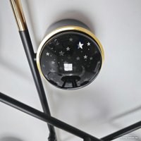 Припотолочная люстра Mirastyle Диод MH-3231/6 BK+FGD