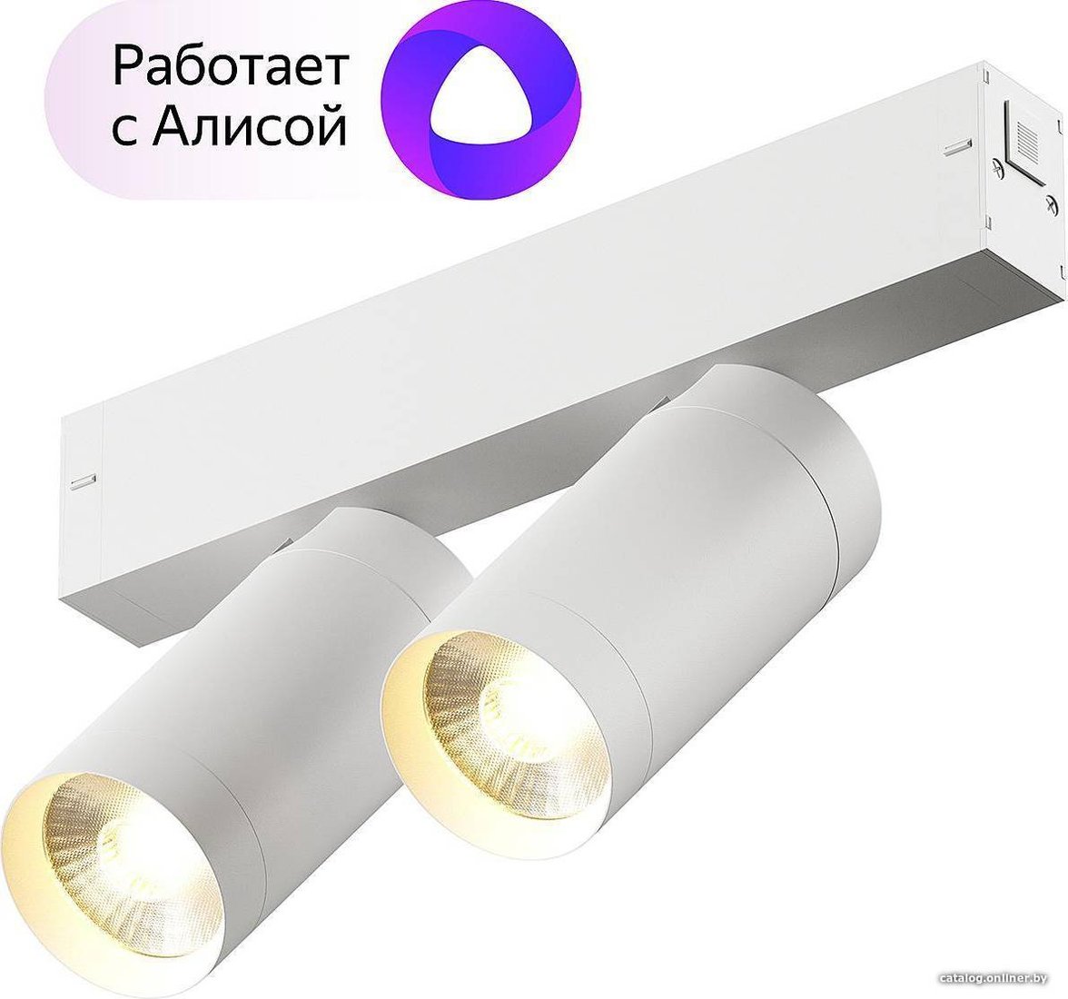Трековый светильник Denkirs Smart DK8012-WH