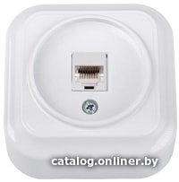 Розетка компьютерная Bylectrica РК18-5111 (белый)