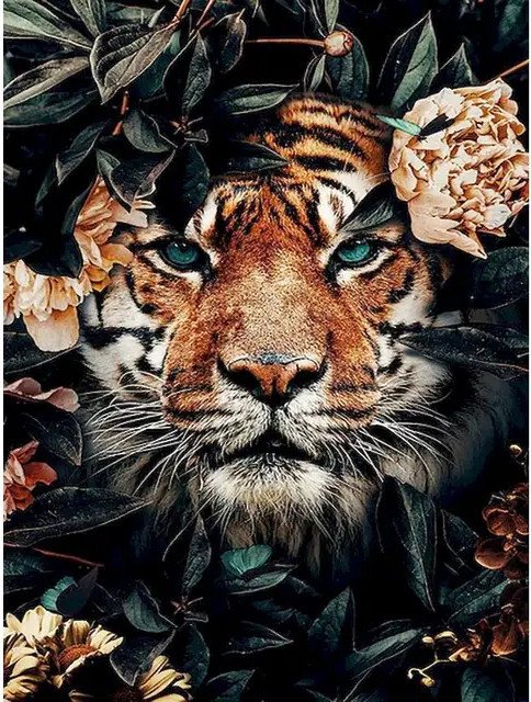 

Картина по номерам Sundays Art JH048
