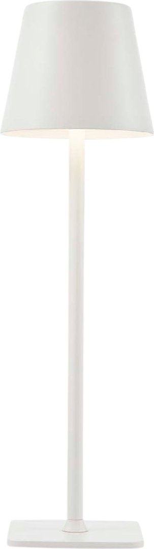 

Настольная лампа F-Promo Pyari 4614-1T