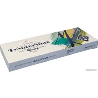 Темперные краски Мастер Класс № 1 1641007/16412095 (12цв.х18 мл)