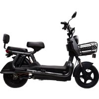 Электровелосипед Ecoliner Titaan 240Вт 60В 23А/ч (черный)