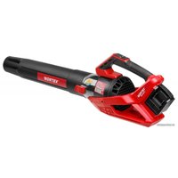 Ручная воздуходувка Wortex BB 2536 D ALL1 0333234 (без АКБ)