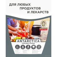 Термобокс Picnic Antarctica 24л (серый)