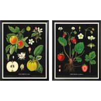 Картина Ikea Knoppang 50578895