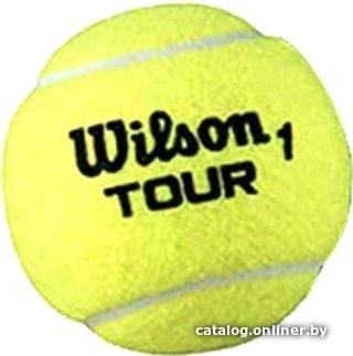 Набор теннисных мячей Wilson Tour All Court WRT115700 (4 шт)