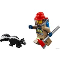 Конструктор LEGO City 60217 Пожарный самолет