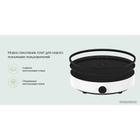 Настольная плита Xiaomi Induction Cooker Lite DCL002CM-1 (евровилка)