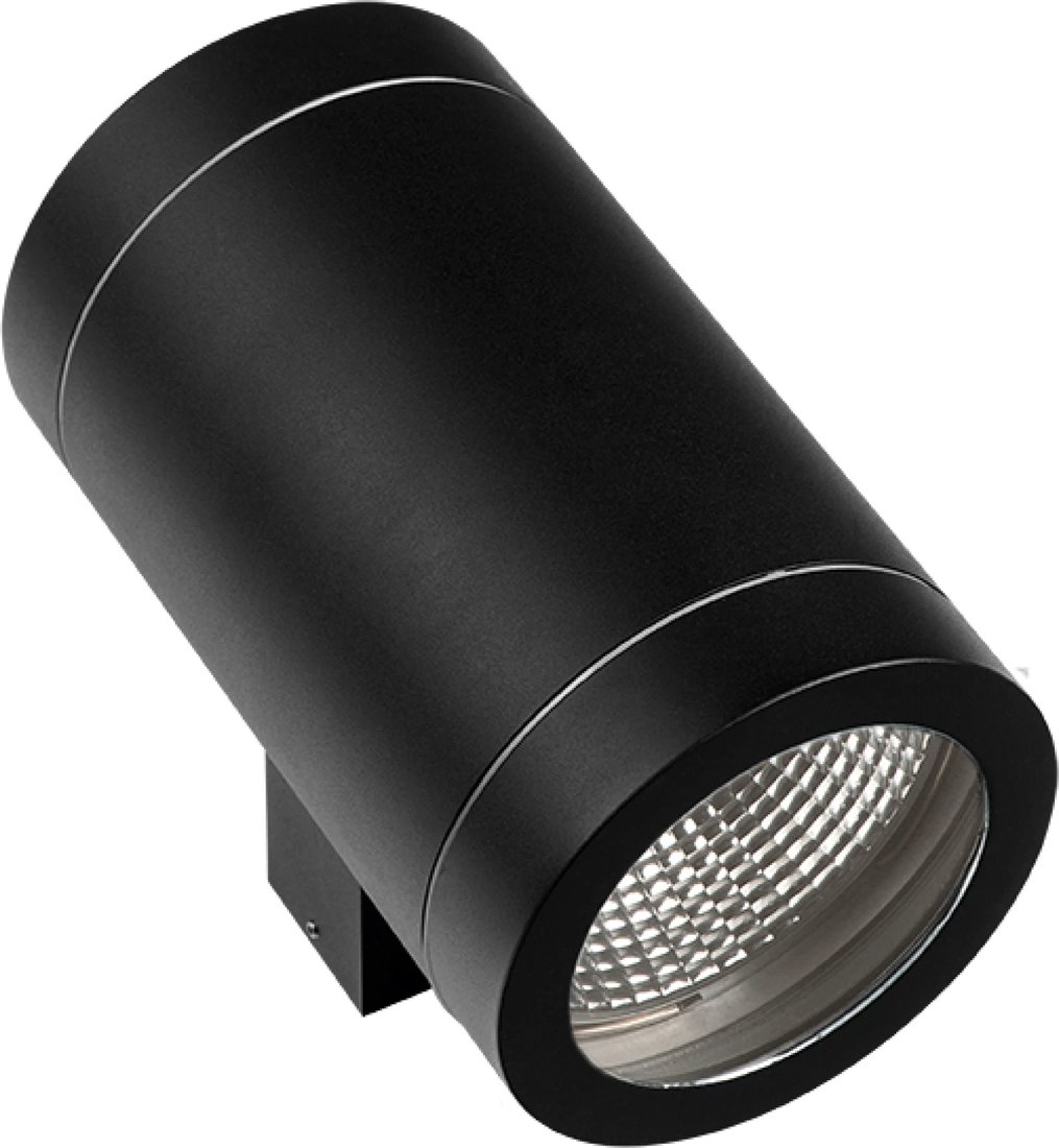 

Уличный настенный светильник Lightstar Paro 351617