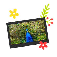 Цифровые фоторамки