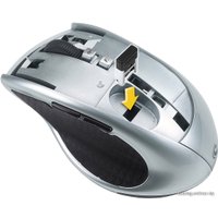 Мышь Genius DX-ECO