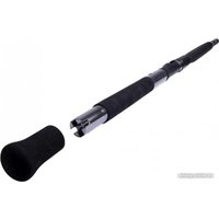 Удилище WFT Prion Inline 300