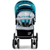 Коляска прогулочная «книга» Coto baby Torre
