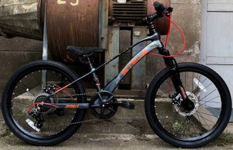 Stels Leader 220 MD 2024 (серый)