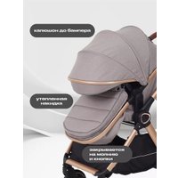 Универсальная коляска Rant Basic Roller Gold RA161 (2 в 1, beige)