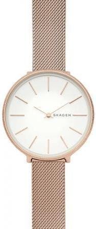 

Наручные часы Skagen SKW2726