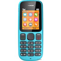 Кнопочный телефон Nokia 100