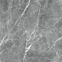 Керамогранит (плитка грес) Гранитея Пайер G285 600x600 (темно-серый)