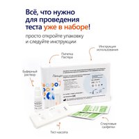 Тест на ферритин Ассомедика на Ферритин (полуколичественный) в Бресте