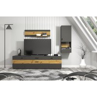 Шкаф распашной Anrex Dylan 1V (графит/дуб артисан) в Могилеве