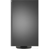 Монитор NEC MultiSync E243F (черный)