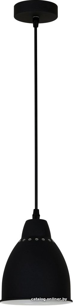 Светильник Arte Lamp Braccio A2054SP-1BK
