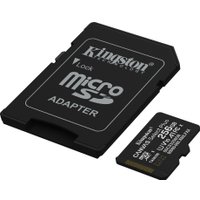 Карта памяти Kingston Canvas Select Plus microSDXC 256GB SDCS3/256GB (с адаптером)