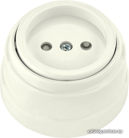 Розетка Bylectrica РА16-0205 (бежевый)