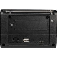 Радиоприемник Ritmix RPR-020