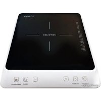 Настольная плита Ginzzu HCI-173