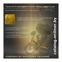 Детский велосипед Nuovita Bamzione B2 (черное золото)