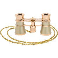 Бинокль Levenhuk Broadway 325B 81857