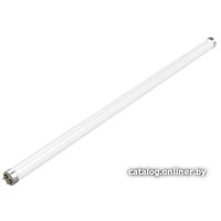 Светодиодная лампочка Gauss LED Elementary T8 Glass G13 24 Вт 4000 K 93024