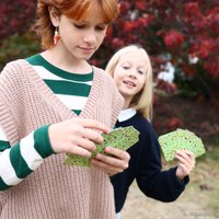 Детская настольная игра Простые правила Морфели