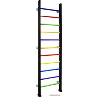 Шведская стенка (лестница) Central Sport усиленный 40x60 (антик-серебро/разноцветный)