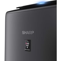 Климатический комплекс Sharp UA-KIN52E-H
