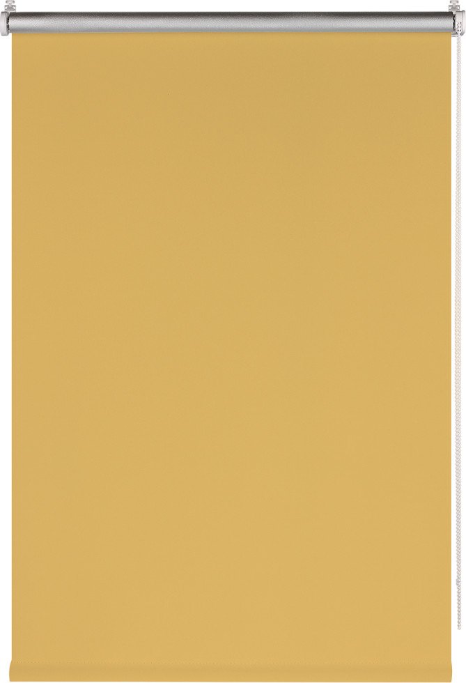 

Рулонные шторы Franc Gardiner Blackout Silver 50x160 7794939 (медовый)