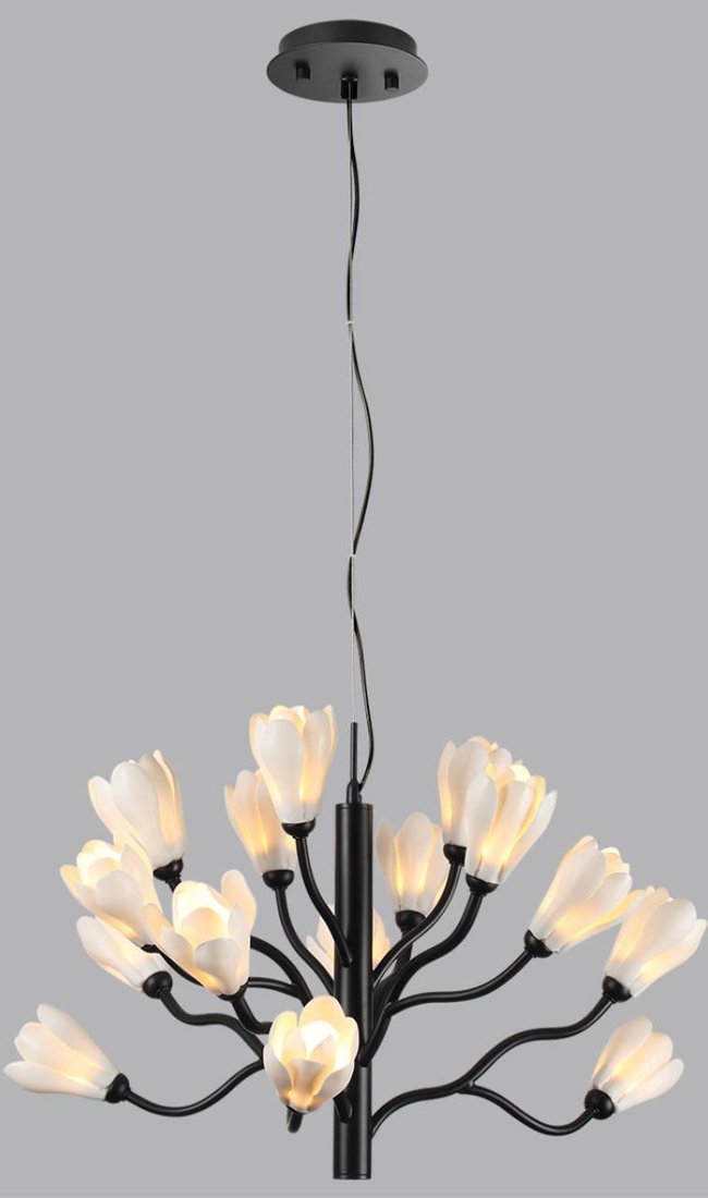 

Подвесная люстра Odeon Light Gardi 5090/15