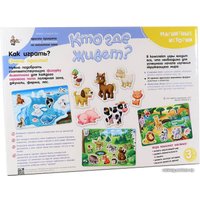 Магнитная доска Десятое королевство Кто где живет? 02652