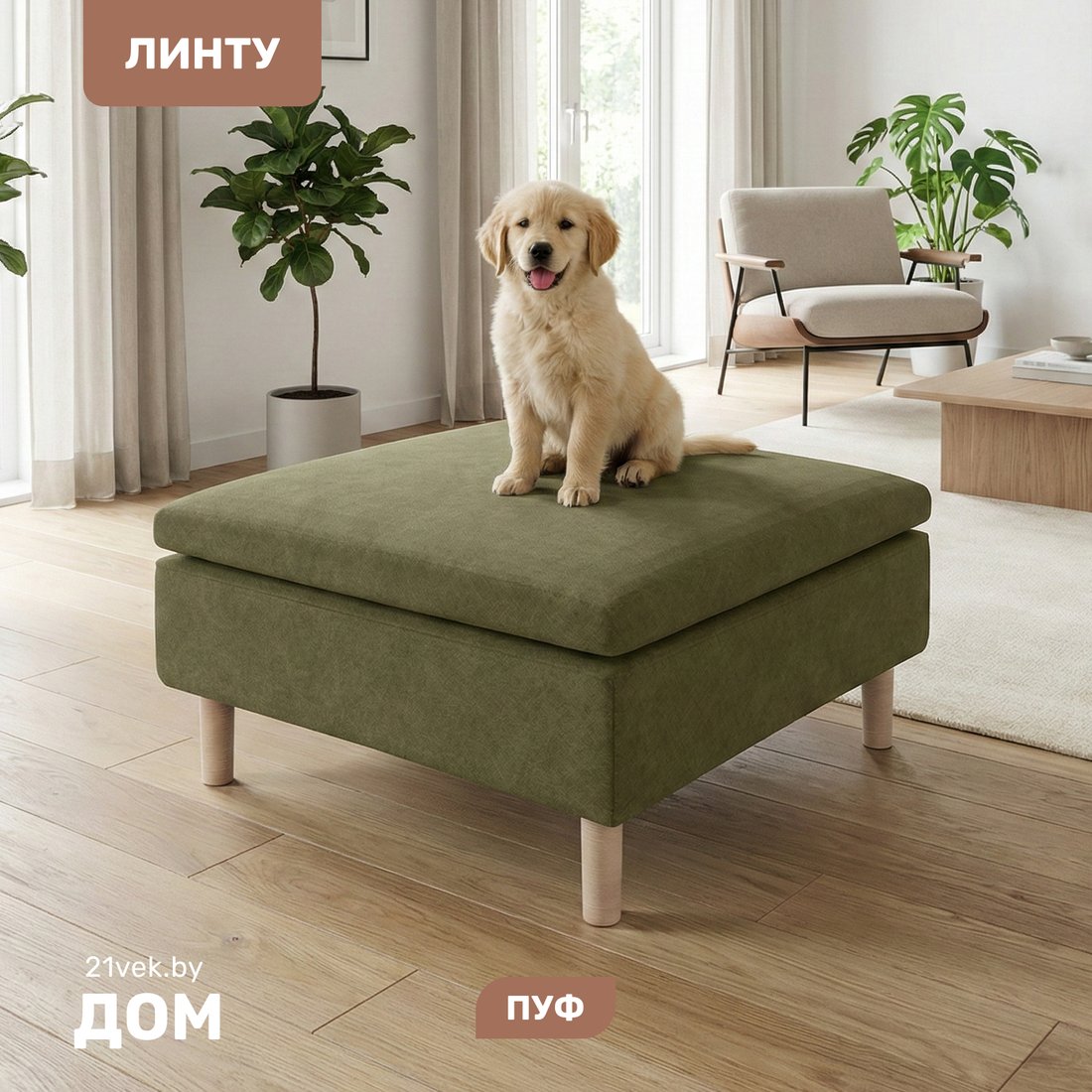 Пуфик Mio Tesoro Линту Lintu Pufa (Prince Moss)