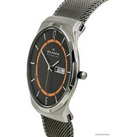 Наручные часы Skagen SKW6007