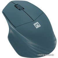 Мышь Natec Siskin 2 (бирюзовый)